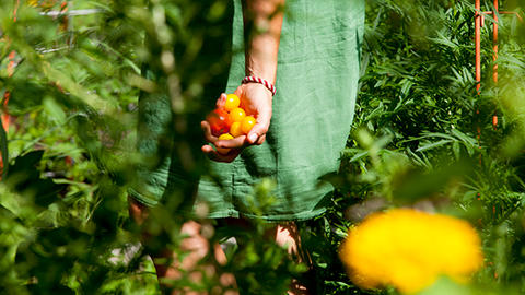hds-garden605.jpg